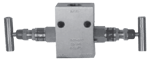 main_IM_Model_387FM_2_Valve_Manifold.png